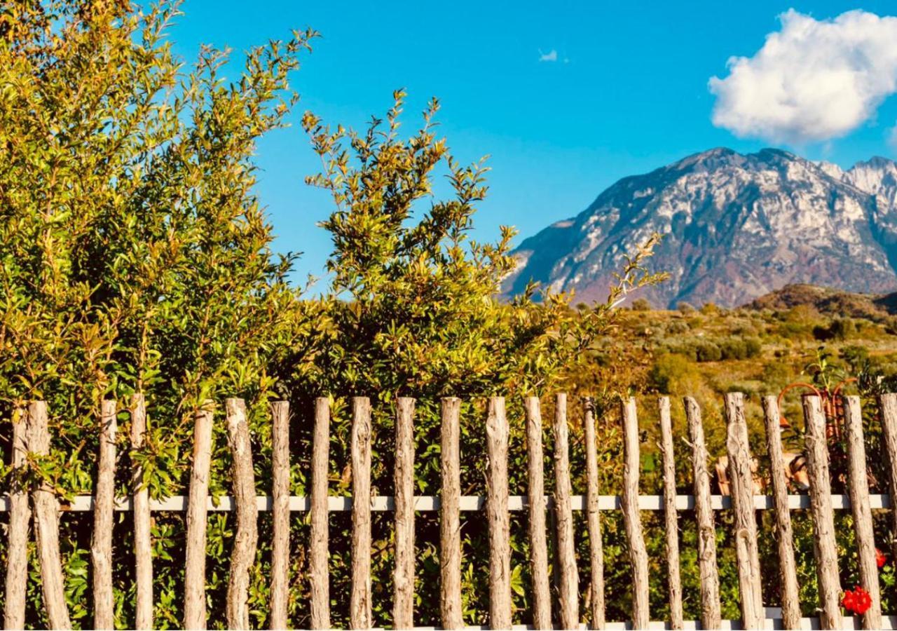 Alpeta Agrotourism & Winery - Roshnik , Berat Hotel Exterior photo