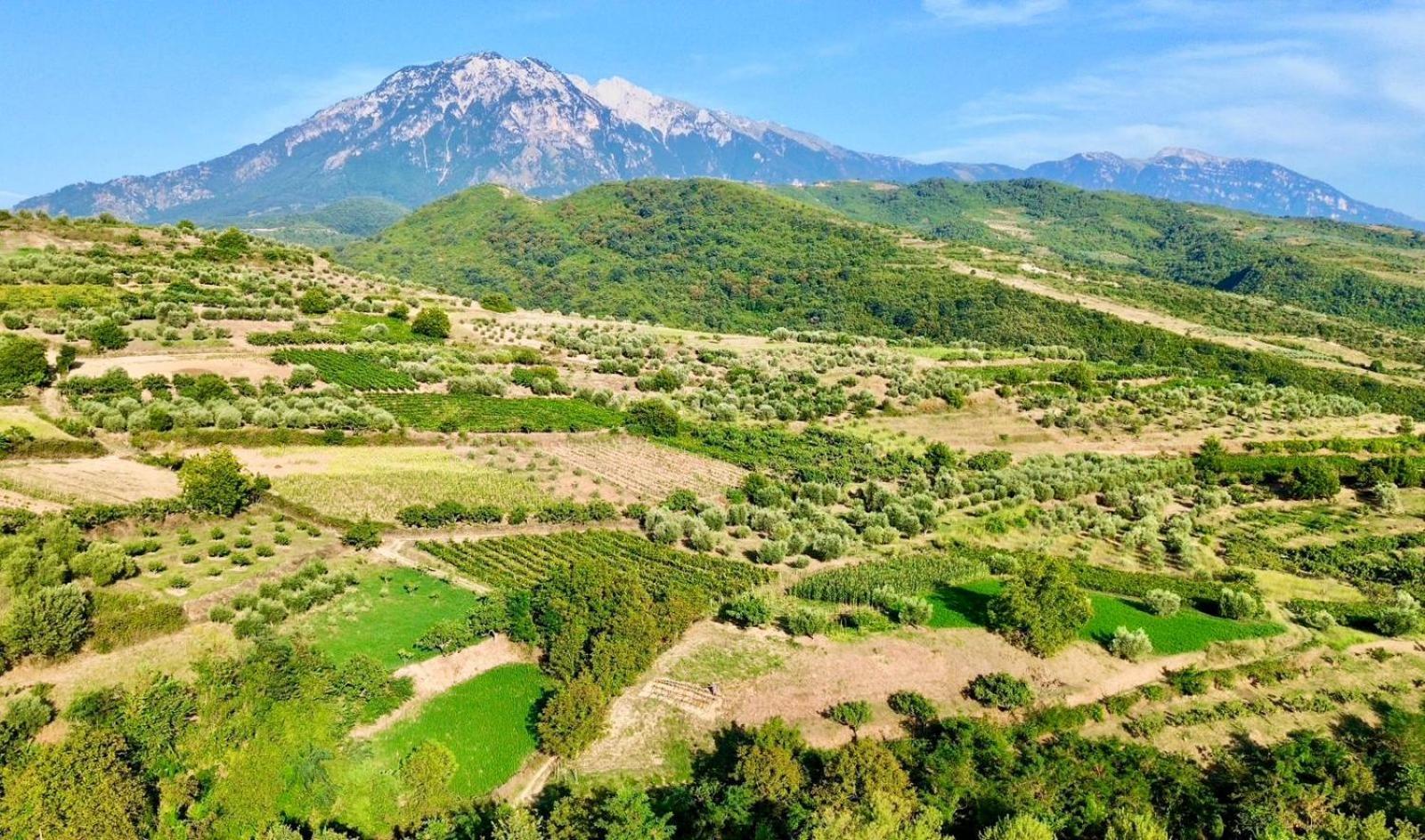 Alpeta Agrotourism & Winery - Roshnik , Berat Hotel Exterior photo