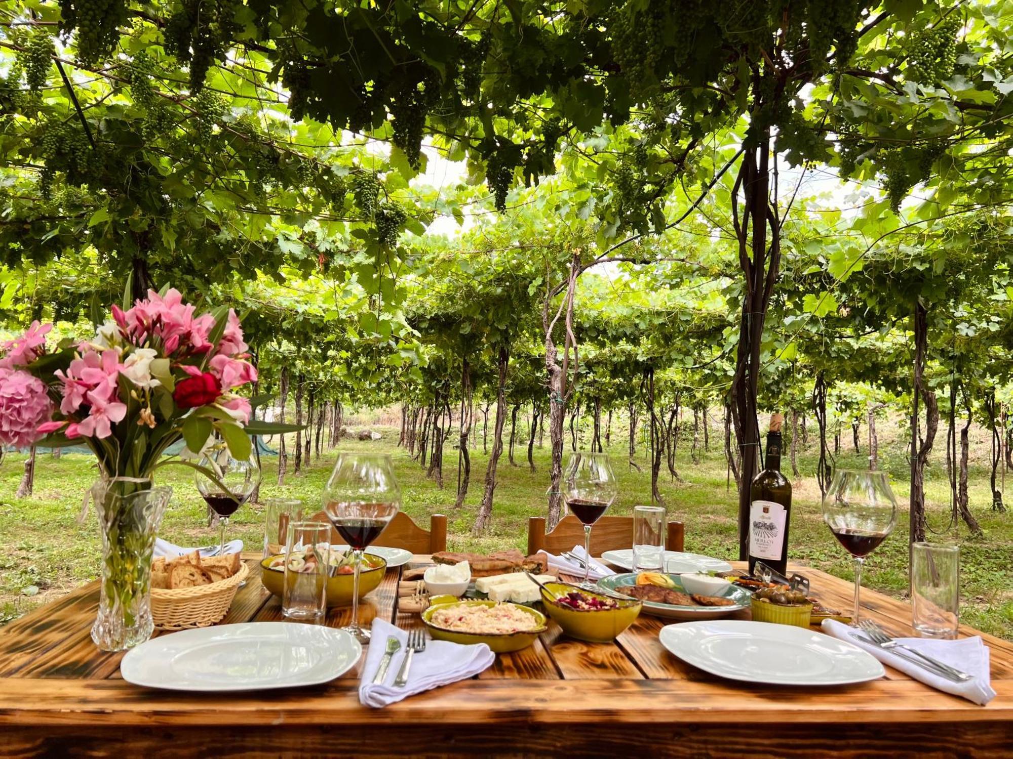 Alpeta Agrotourism & Winery - Roshnik , Berat Hotel Exterior photo